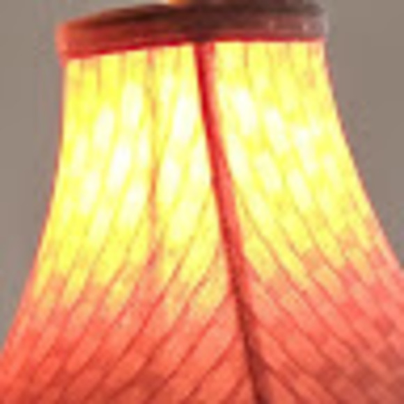 Meet your Posher, Lacy - Picture 1 of 1